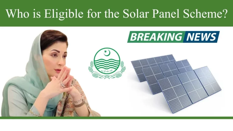 Everything You Need to Know About the Chief Minister's Solar Panel Scheme